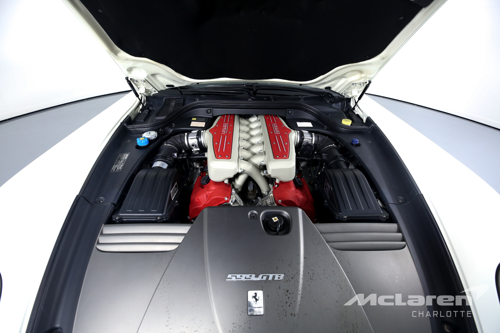 Used 2011 Ferrari 599 GTB Fiorano | Charlotte, NC