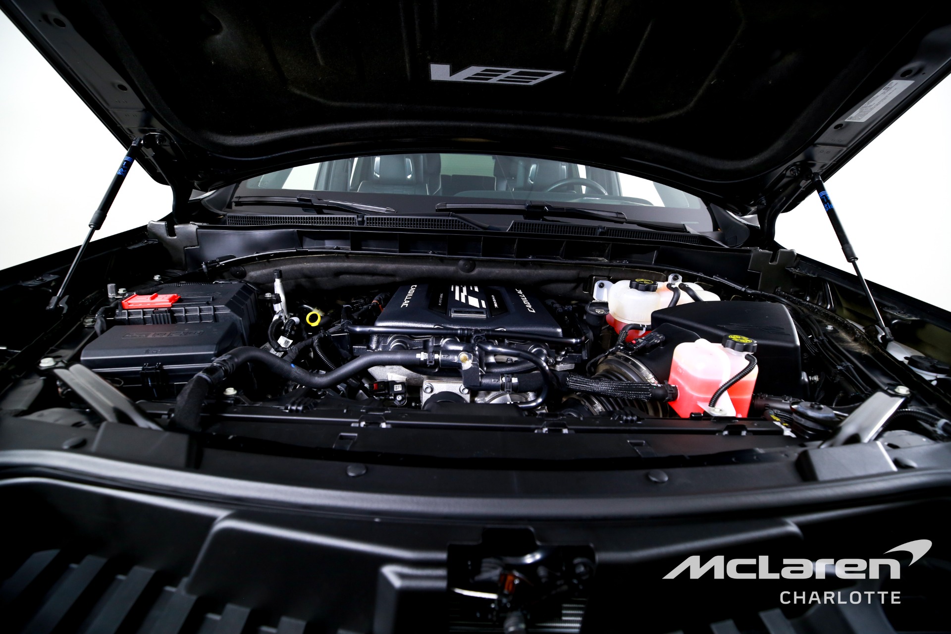 Used 2024 Cadillac Escalade-V  | Charlotte, NC