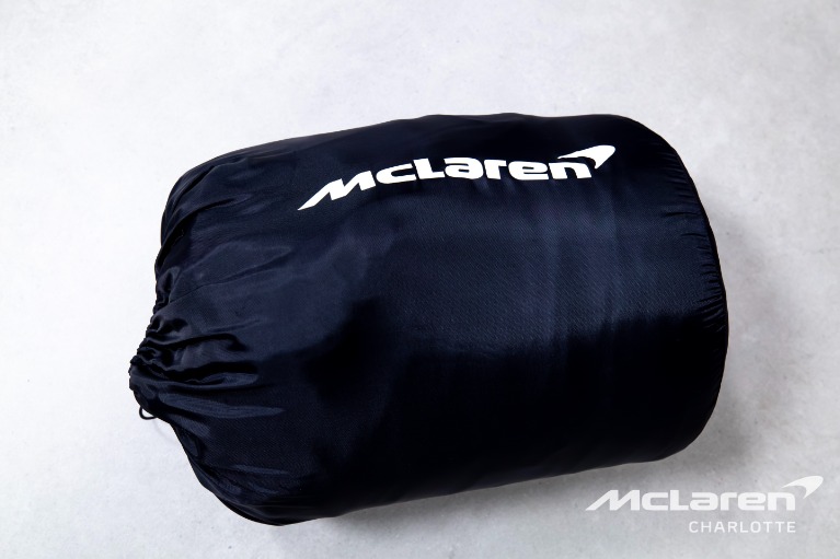 Used-2019-McLaren-Senna