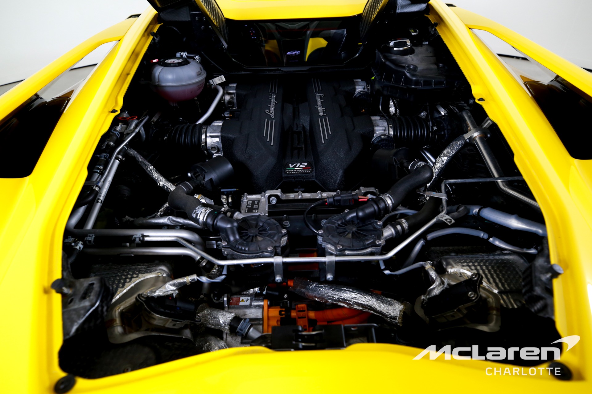 Used 2025 Lamborghini Revuelto  | Charlotte, NC